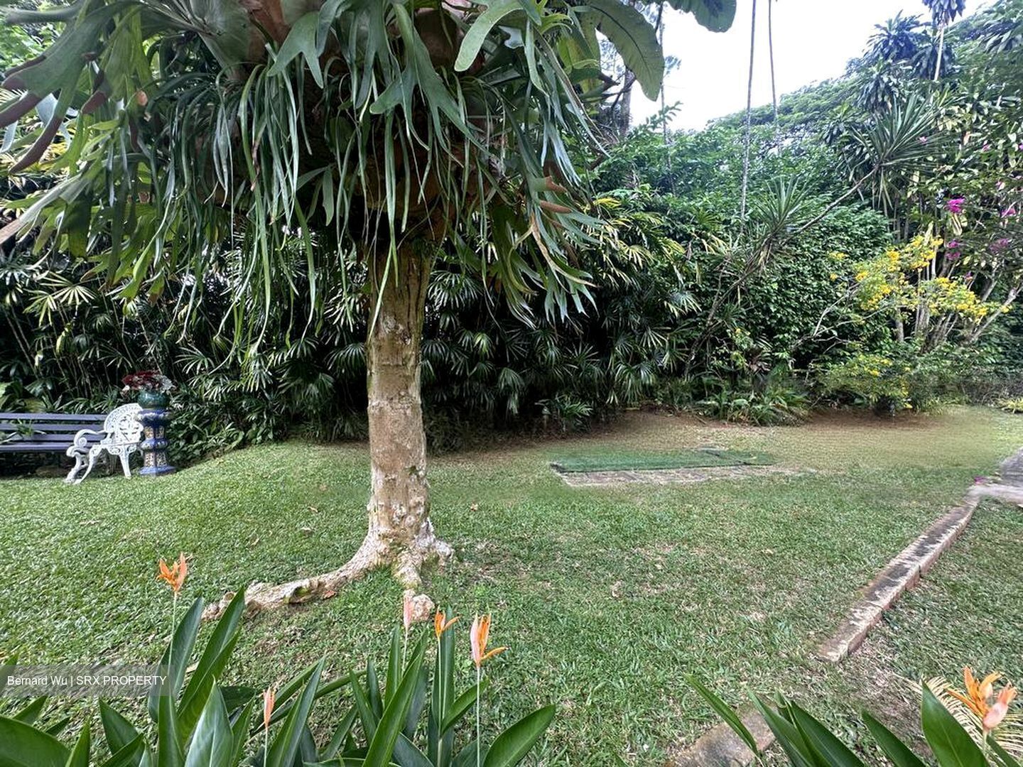 Bukit Timah Road (D10), Detached #491135731